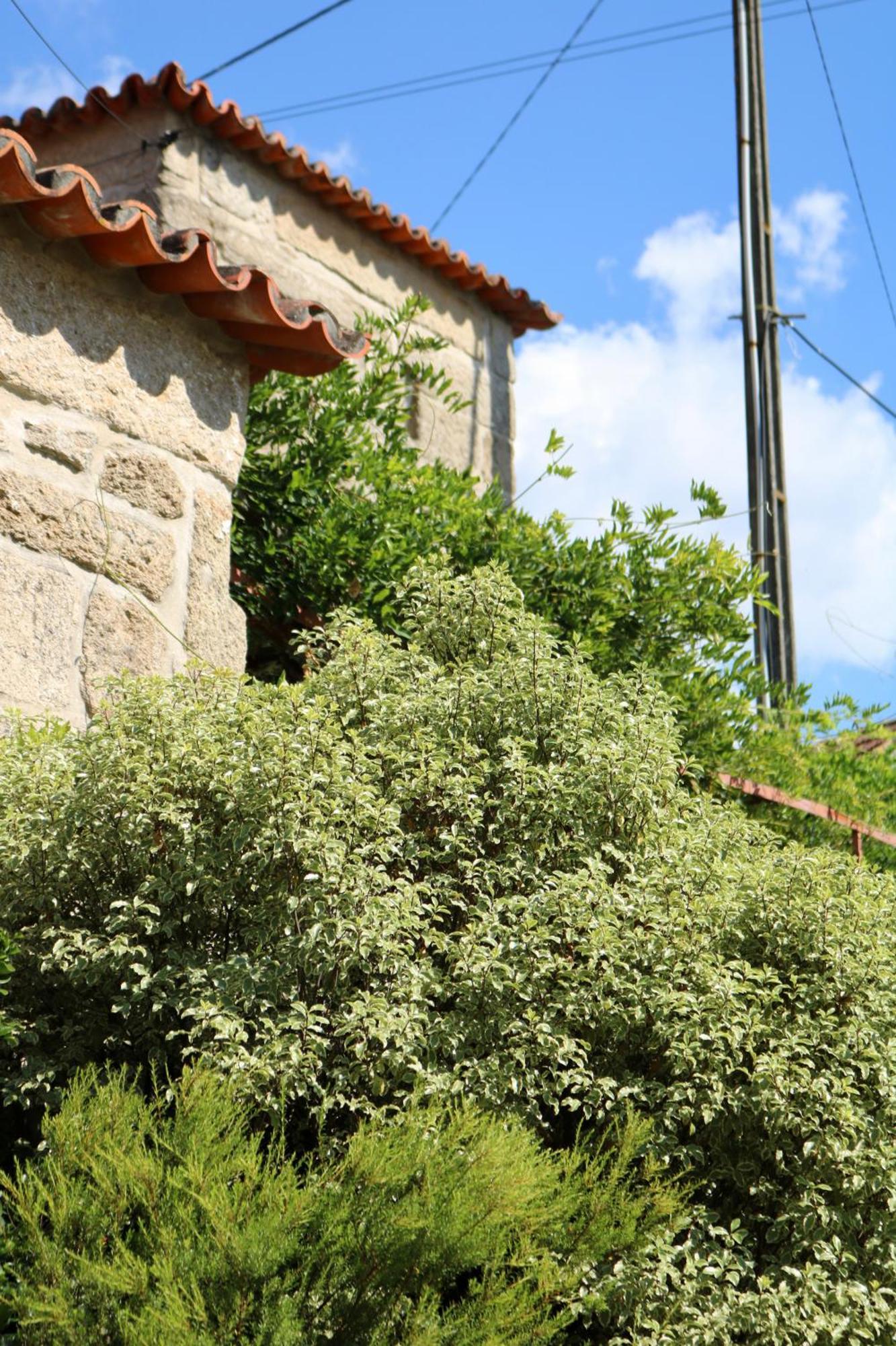 Casa da Eira Marco de Canavezes Exterior foto